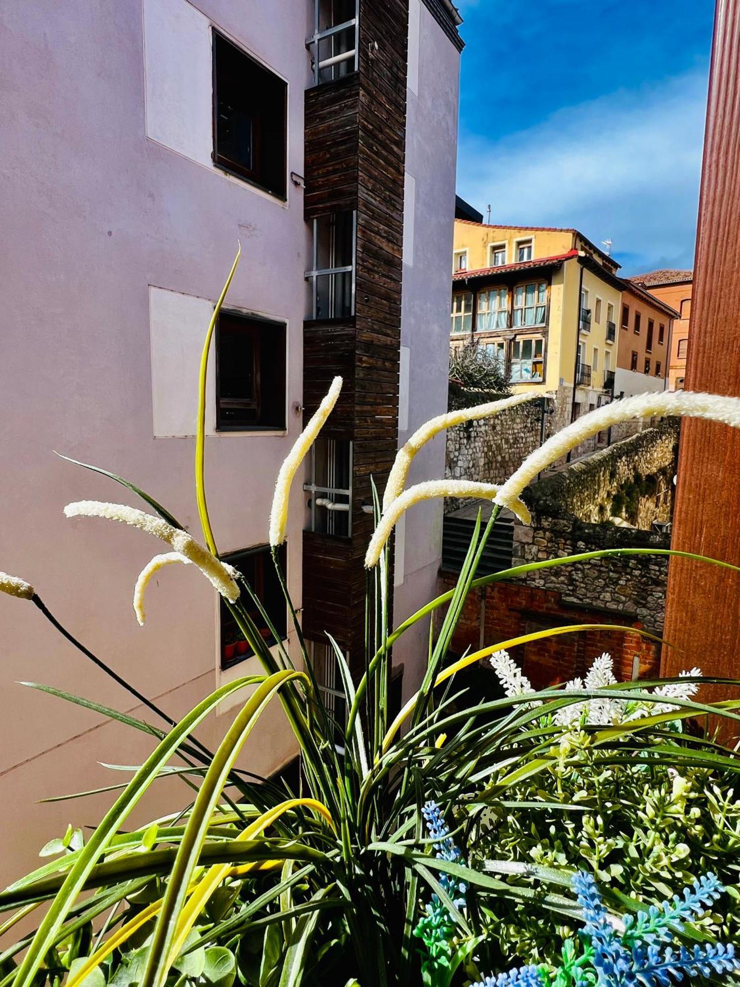 El Capricho De Claudia_ Apartamentos Burgos Catedral Exteriör bild